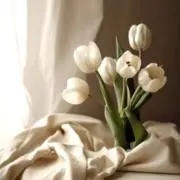 __ioioi__   ※プロフ必読の画像