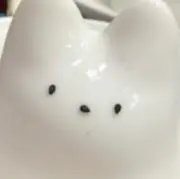 ちむの画像