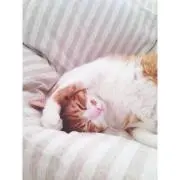 mの画像