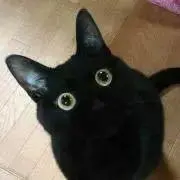 うめめの画像