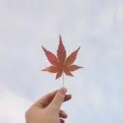 ユナの画像