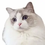 ゆーくp