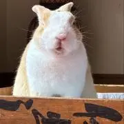 unique storeの画像