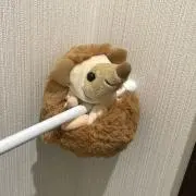 りっしーの画像