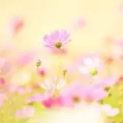 chi319の画像