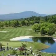 Y☆Nの画像