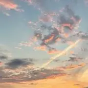 Rimの画像