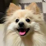 koronkunの画像