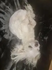 ひろの画像