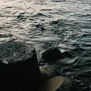 むっく