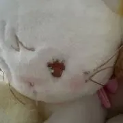 しろの画像