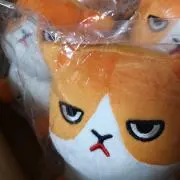 えのきかく