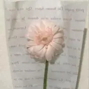 ろん