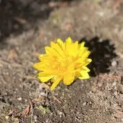 Image of HAPPYLIFE