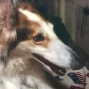 ラスティの画像