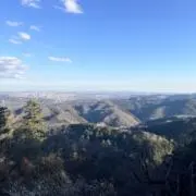 Ariceの画像