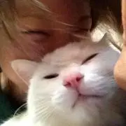 やす