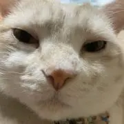か