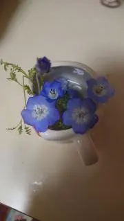 さくらんぼの画像
