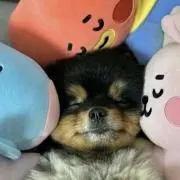 まあちゃん