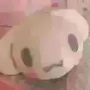 緋々花の画像