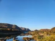 Mavanの画像