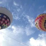 ちぃの画像
