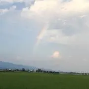 Sの画像