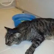 みるかの画像
