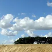 シャックス