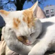 カナタ　★発送、回答は遅くなります。