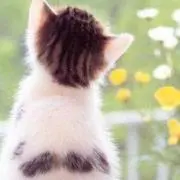 coruha プロフお読みくださいの画像