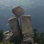 pareaの画像