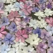 ユアン