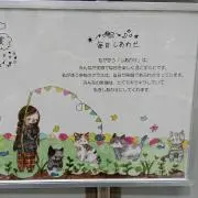 Nao-pp