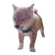 もりで