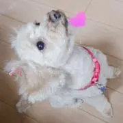 未来