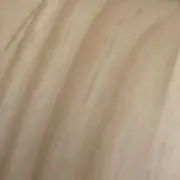 たけだ