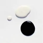 Kayの画像