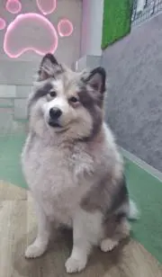 えるもまるもの画像