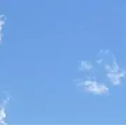 きのの画像