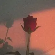 tmの画像