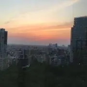 ariの画像
