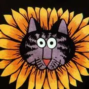もいちょっぷの画像
