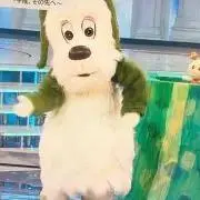 わんの画像
