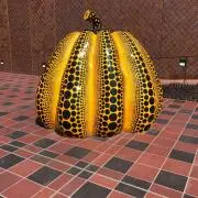 すーけの画像