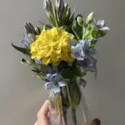 ぼぶの画像