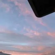 もぐの画像