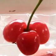 カッパの画像