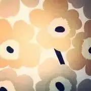 ｙu .の画像
